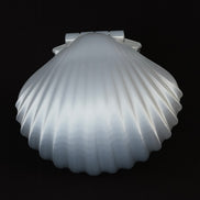 Boîte à bijoux Olympe coquillage